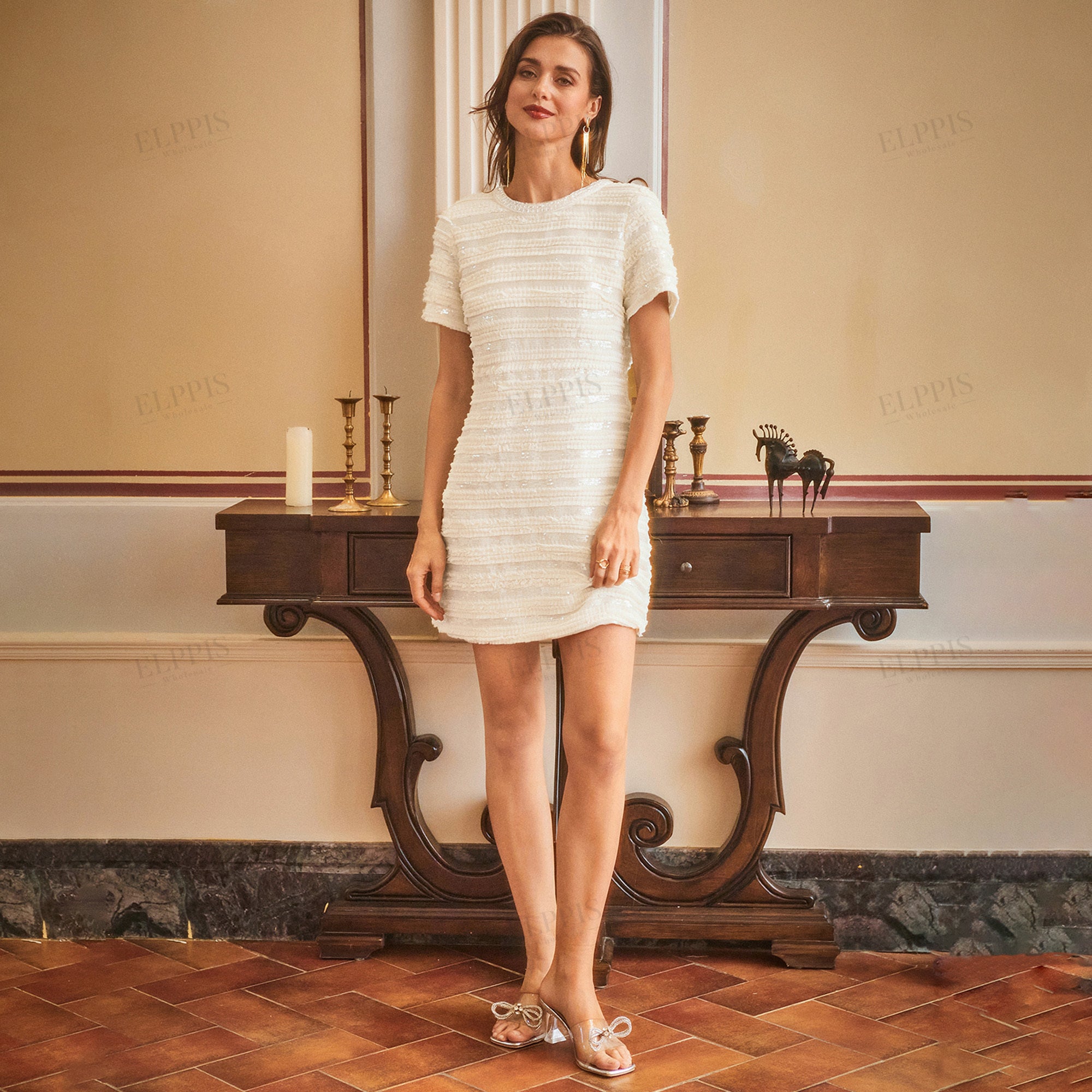 Mesh sequin embroidered horizontal striped textured A-line short sleeve dress